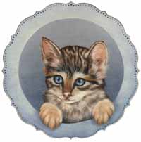 Mixed-breed Cat 雑種猫 湯口千恵子作