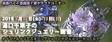 湯口千恵子のプラバン講習in東京　シュリンクジュエリー　2018/05/12-13　東急ハンズ池袋店　キャド ユグチ　湯口千恵子