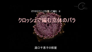 オヤのテクニックでビーズを編み込むクロッシェ8M1 キャドユグチ　湯口千恵子の部屋