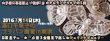 湯口千恵子のプラバンセミナーin東京　キャド ユグチ